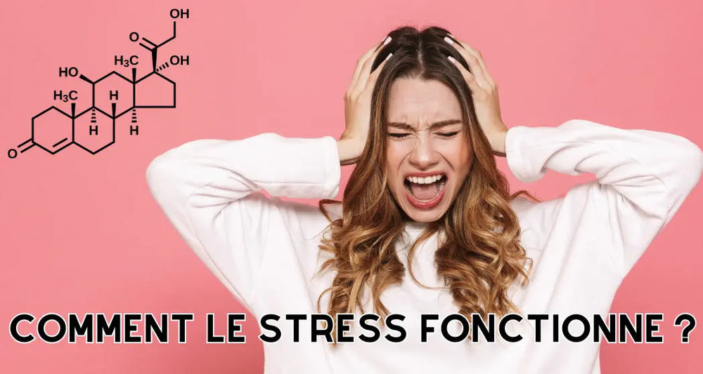 STRESS AW TRAINER